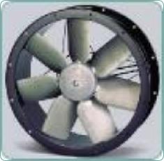 TCBBTCBT19
